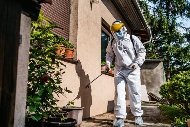 Best Flea Control Services  in Deephaven, MN