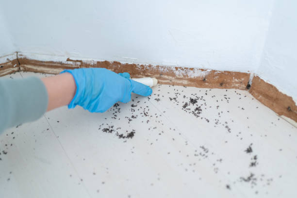 Best Pest Removal Services  in Deephaven, MN